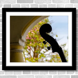 Cuban Street Music Photography; Cienfuegos, Cuba (Fine art photos of various sizes including 8x10, 11x14 & small/large prints)