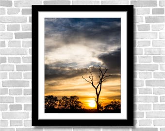 Pantanal Brazil Sunrise Print, Lone Tree Silhouette (Unframed)