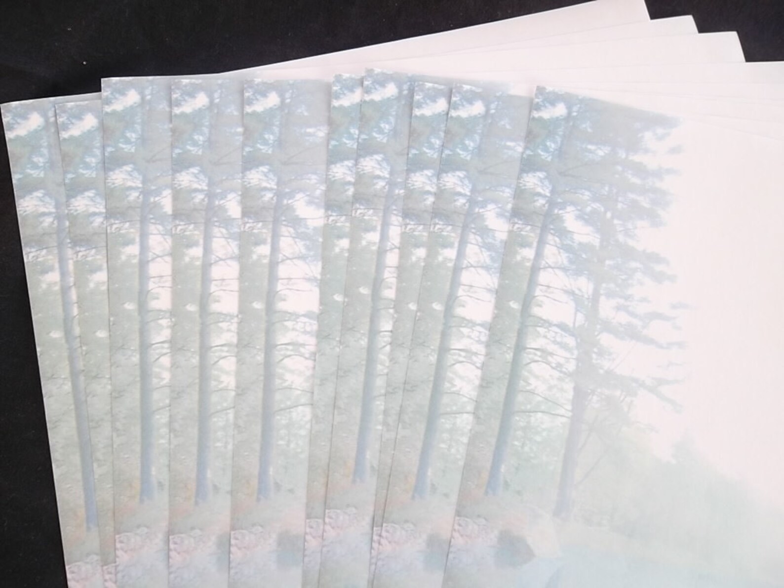 What is desktop publishing software picture