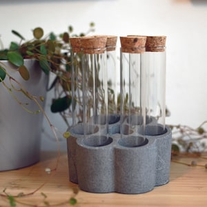 Multi-use Test tube stand / propagation vase / Hydroponics Glass Planter / Propagation station  / Flower vase / Spice Rack / Spice storage