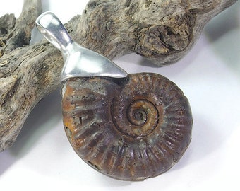 Enchanting spiral wearable on both sides Ammonite silver pendant ammonite necklace brown fossilized snail 925 sterling silver handmade gift
