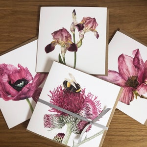 Hummel und Blumen - Aquarell botanische Kunstkarten Geschenkpackung mit vier Stücken, Biene, Iris, Mohn und Magnolie