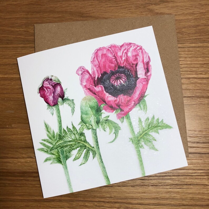 Pink Floral Watercolour Botanical Artist Cards Gift Pack of Four with Poppies Fabulous Dahlia and Tulips