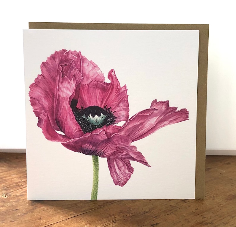 Pink Floral Watercolour Botanical Artist Cards Gift Pack of Four with Poppies Fabulous Dahlia and Tulips
