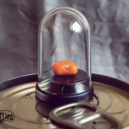 Pet Baked Bean, small gift, mothers day gift, gift for mum, boyfriend gift, girlfriend gift, pet bean, tin of beans, gift for him