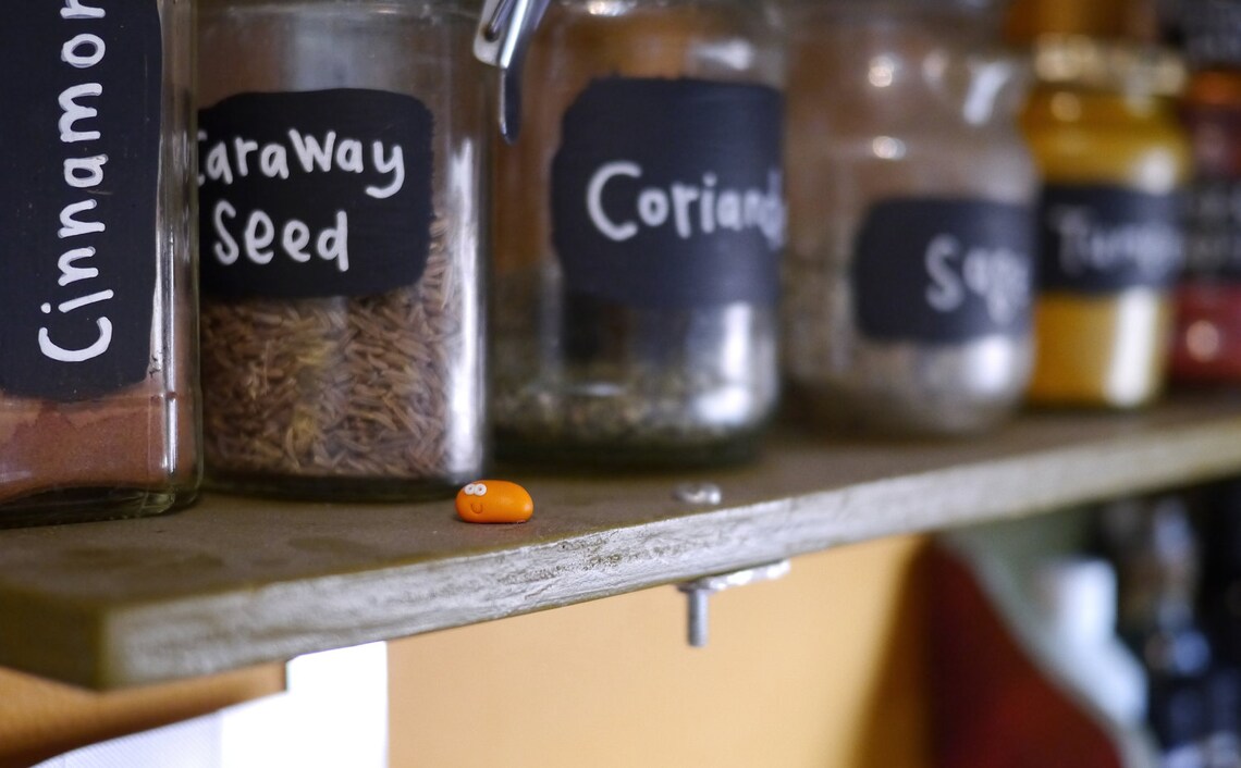 Pet Baked Bean Gift for Girlfriend Gift for Boyfriend Etsy UK