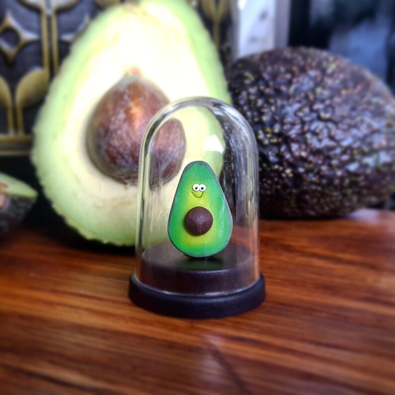 Pet Avocado vegan gift mothers day gift gift for mum funny image 6