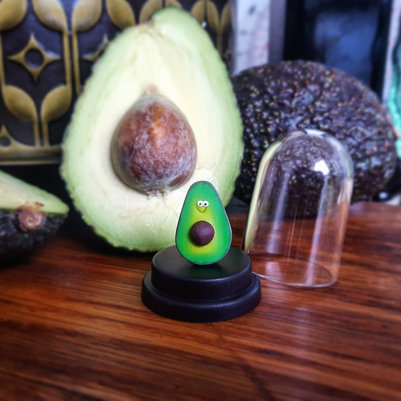 Pet Avocado vegan gift mothers day gift gift for mum funny image 4
