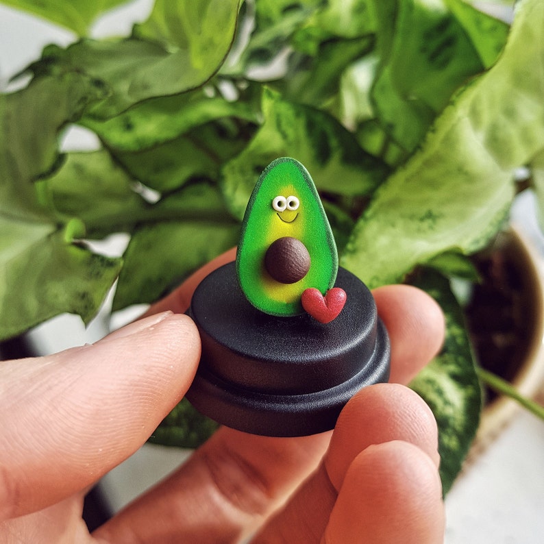 Pet Avocado vegan gift mothers day gift gift for mum funny With mini love heart