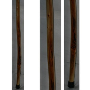 Thin Hiking Stick with Rope Handle, MAX Wt 150 Lbs, Diamond Willow Wood, Can Add Personalized Engraving Upgrade, Unique Holiday Gift, MN USA image 5