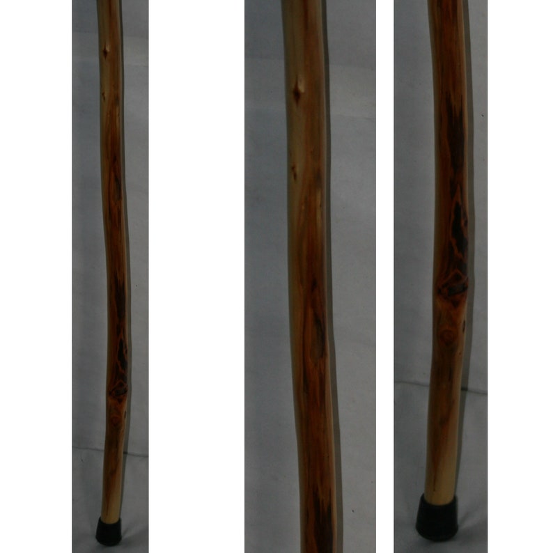 Thin Hiking Stick with Rope Handle, MAX Wt 150 Lbs, Diamond Willow Wood, Can Add Personalized Engraving Upgrade, Unique Holiday Gift, MN USA image 5
