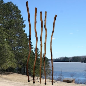 Diamond Willow Walking Stick, 42'' to 72'' U CHOOSE HT, Rustic Wooden Trekking Pole, Unique Strong Hiking Staff Finished with Clear Poly USA