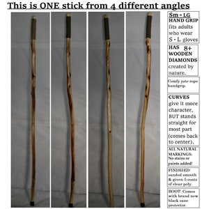 Thin Hiking Stick with Rope Handle, MAX Wt 150 Lbs, Diamond Willow Wood, Can Add Personalized Engraving Upgrade, Unique Holiday Gift, MN USA image 3