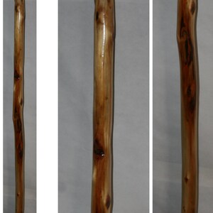 Thin Hiking Stick with Rope Handle, MAX Wt 150 Lbs, Diamond Willow Wood, Can Add Personalized Engraving Upgrade, Unique Holiday Gift, MN USA image 4