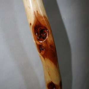 Curvy Walking Stick For XL Hands, Strong Sturdy 54 Thick Hard Wood Wizard Staff, Polished Rustic Diamond Willow from Minn USA image 5