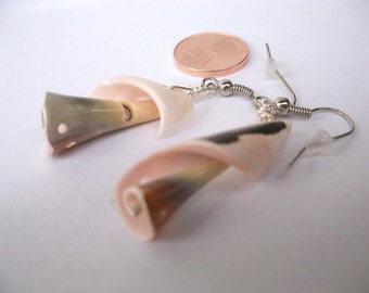 Shell earrings with snail shell spiral, also as ear clip