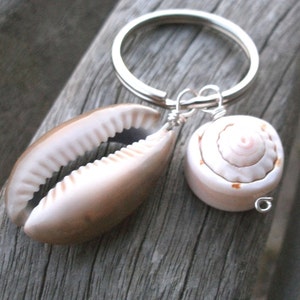 Könnte beinhalten: Ein Schlüsselanhänger mit zwei Muscheln. Eine ist eine beige-weiße Kaurimuschel, die andere eine kleine, spiralförmige Muschel. Beide sind an einem silberfarbenen Schlüsselring befestigt, ideal für Strandliebhaber.