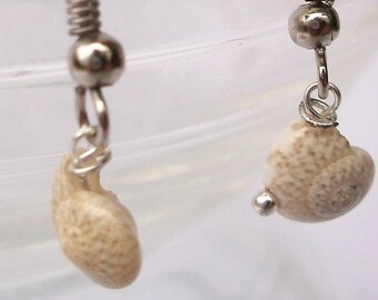 small shell earring, snail shell earring, snail with dots, beach, vacation, summer, also available as ear clip