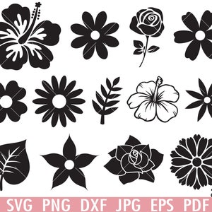 Pacote de flores SVG, clipart de flores, folhas svg, rosa SVG, silhueta de arquivos de corte circular, flores png, camisa de download instantâneo de vetor DXF Eps