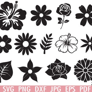 Flowers SVG Bundle, Flowers Clipart, Leaves svg, Rose SVG, Circut Cut Files Silhouette, Flowers Png, DXF Eps Vector Instant Download Shirt