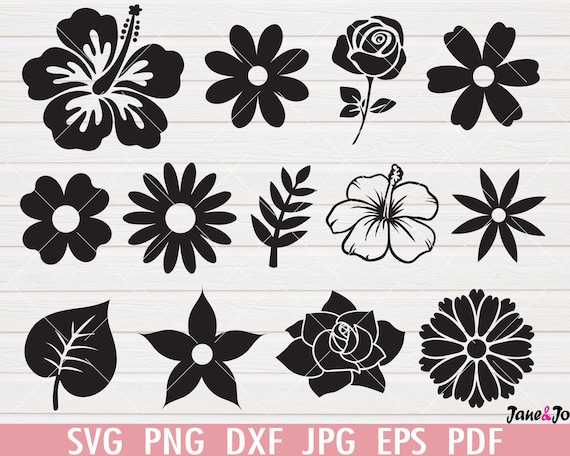 Free SVGs download - Rose SVG, rose PNG, Wedding flowers, Flowers SVG