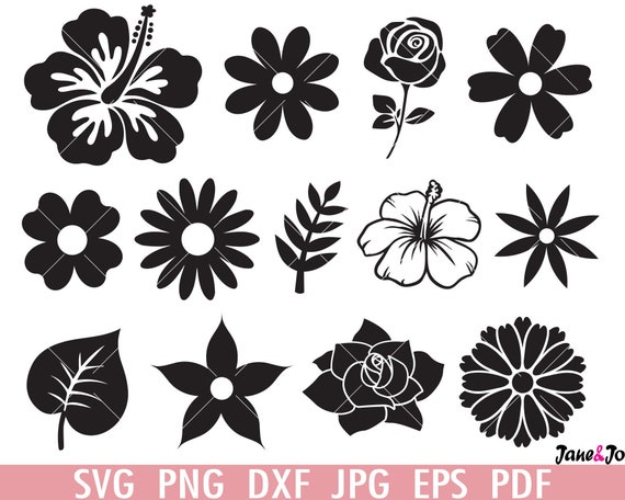 Flowers SVG Bundle Flowers Clipart Leaves Svg Rose SVG 