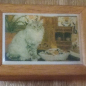 collectable cat music box