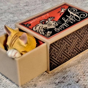 Adorable cat collectable  kitten in match box mini