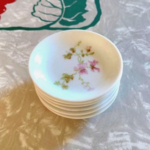 Limoges Floral Butter Pats 6 Piece Antique Set, Wm Guerin Co France