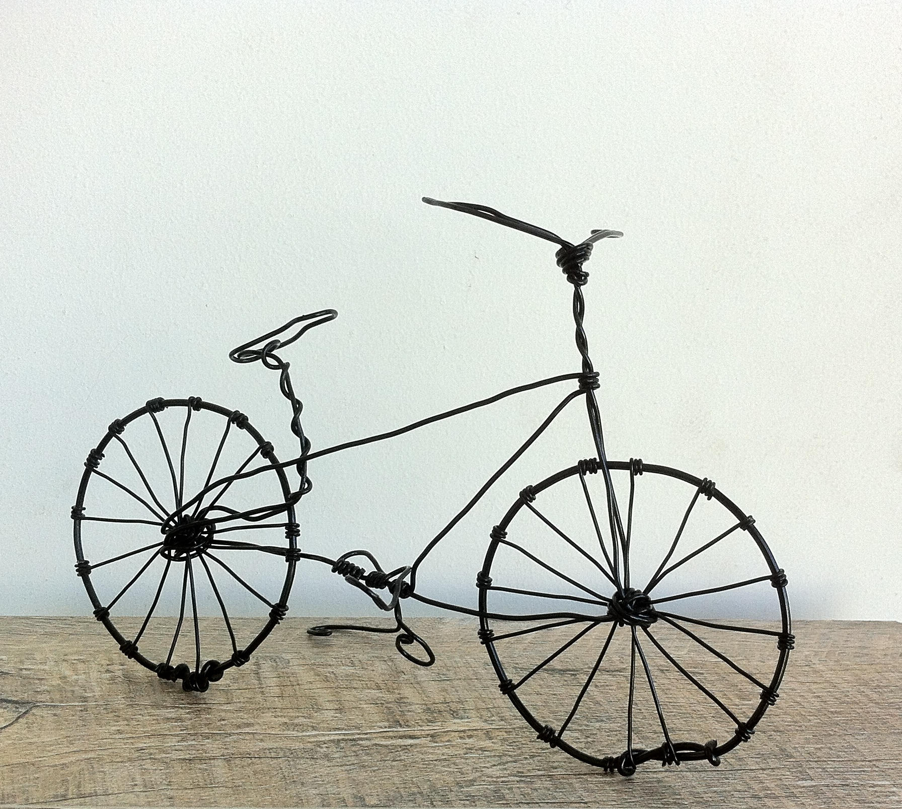 bicycle wire