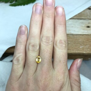 Naturlig gul safir 1,34 karat 7,5x5,5 mm oval slipning, färgbehandlad ädelsten, jordbrytning, BE-värme bild 2