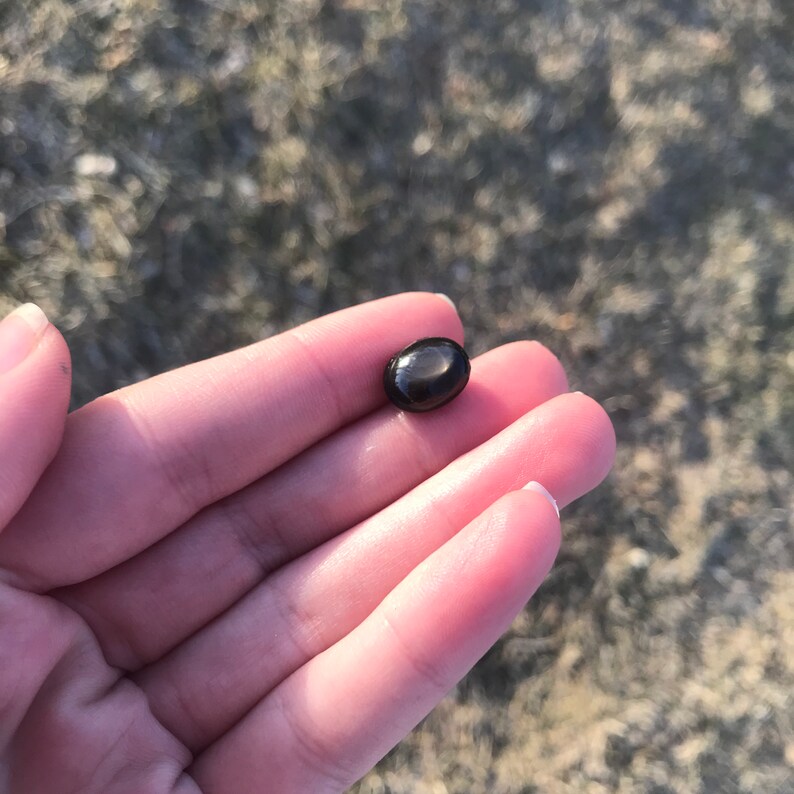 11.9x9.6mm 8.45 carats 6 Ray Natural Black Star Sapphire Loose Gemstone cts Cabochon Wholesale Flowing Gems Corundum September Birthstone