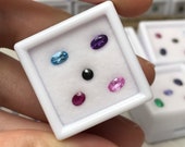 ムジョミ　カメオルース5枚 オメガ ミュージアムコレクション コスミック 1951本限定 Ref