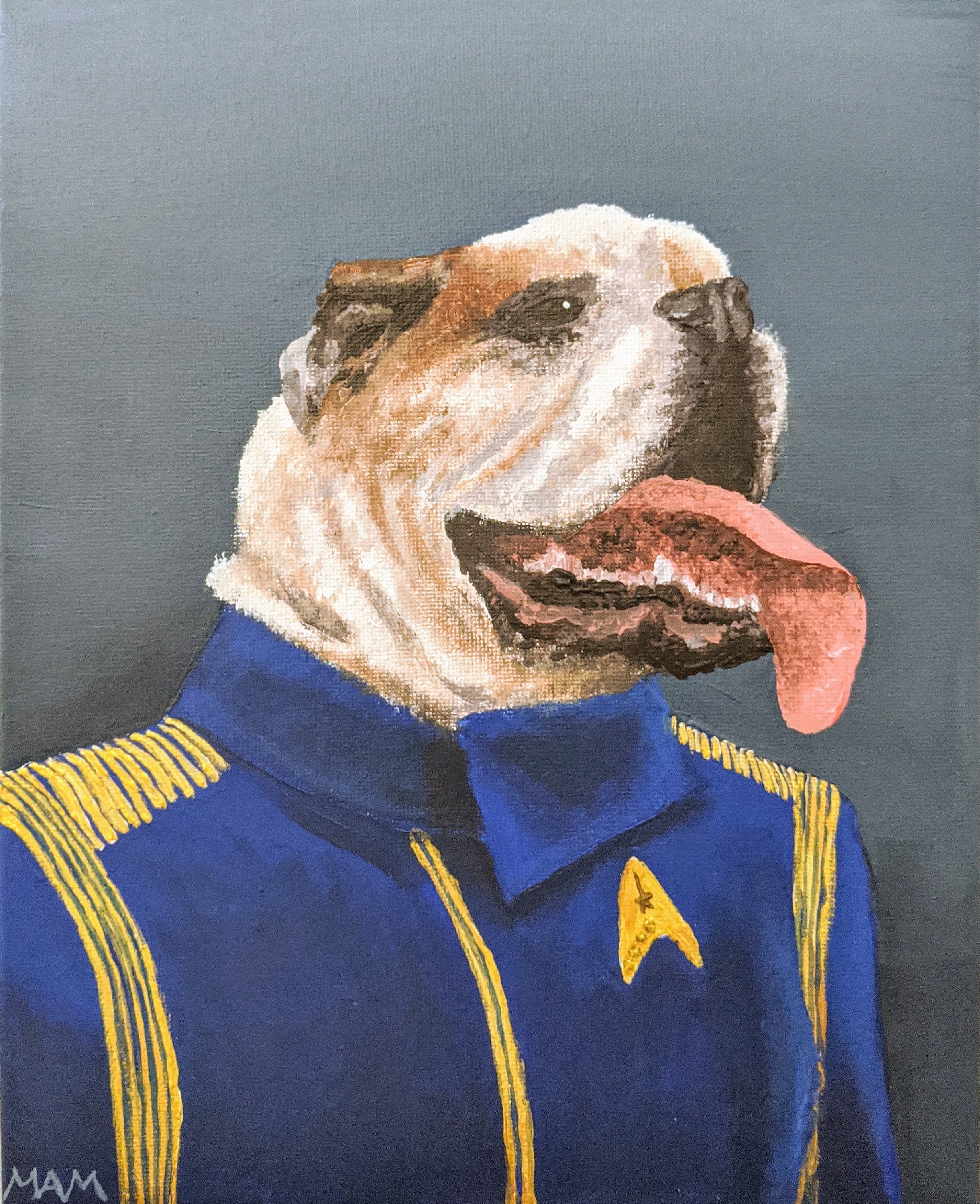 star trek pet portrait