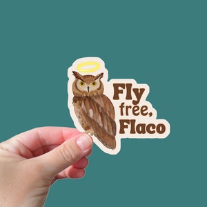 Flaco the Owl Vinyl Sticker | Water bottle, Laptop, Car | RIP Flaco | NYC Owl | Eurasian eagle-owl | Owl Lover Sticker | New York Bird