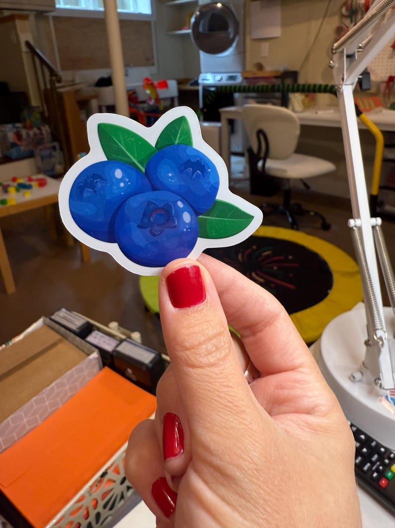 Blueberry Vinyl Sticker | Cute Fruit | Blueberries | Food Related ...