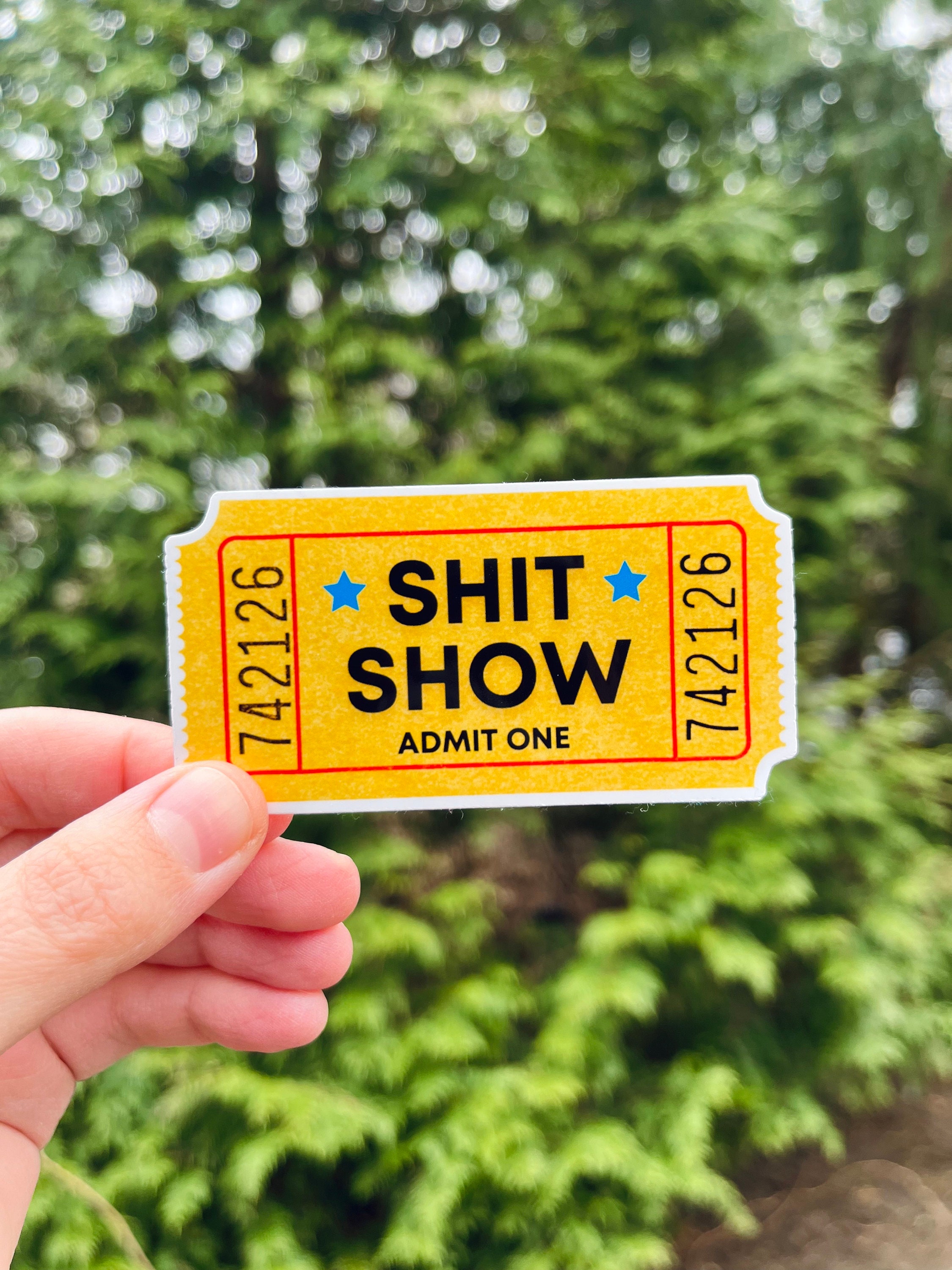 Shit Show Ticket Vinyl Sticker / Magnet for Water Bottle, Laptop, Car Funny  Gift Im a Mess Admit One Movie Ticket Swear Humor 