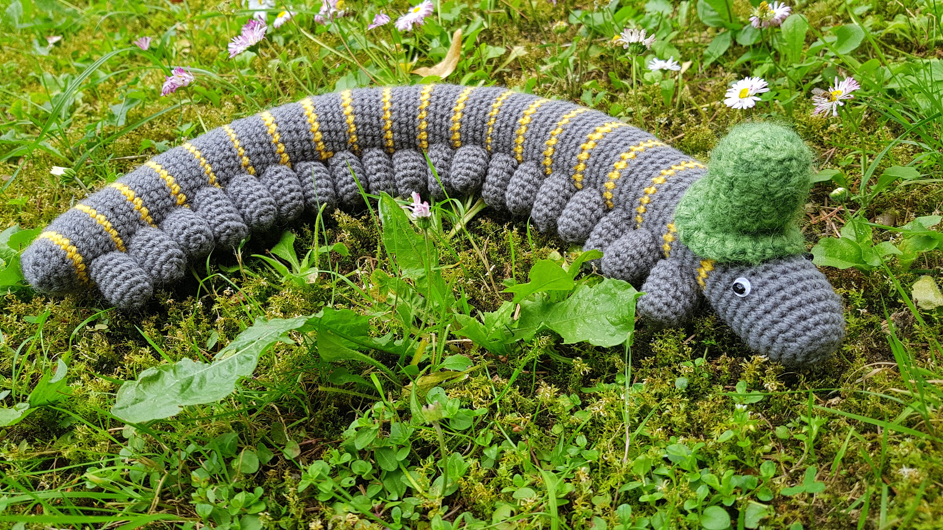 Worm pattern Crochet millipede pattern PDF PATTERN Etsy