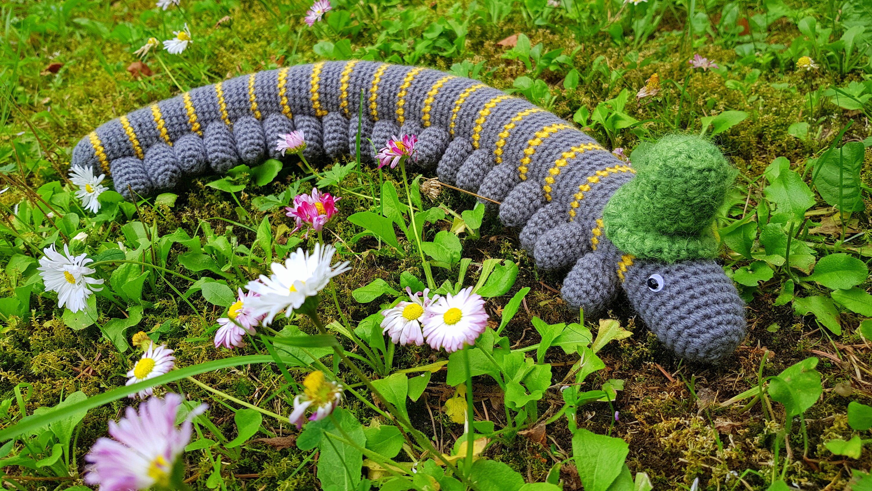 How To Crochet A Worm On A Stringdat Flava Strain Leafly - kag3kcj
