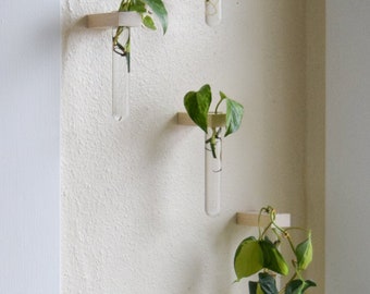 Single Propagation Station // Bud vase // Propagation Wall // Wood Plant Display // Propagation Display Hanging Wall // Plant Wall Planter