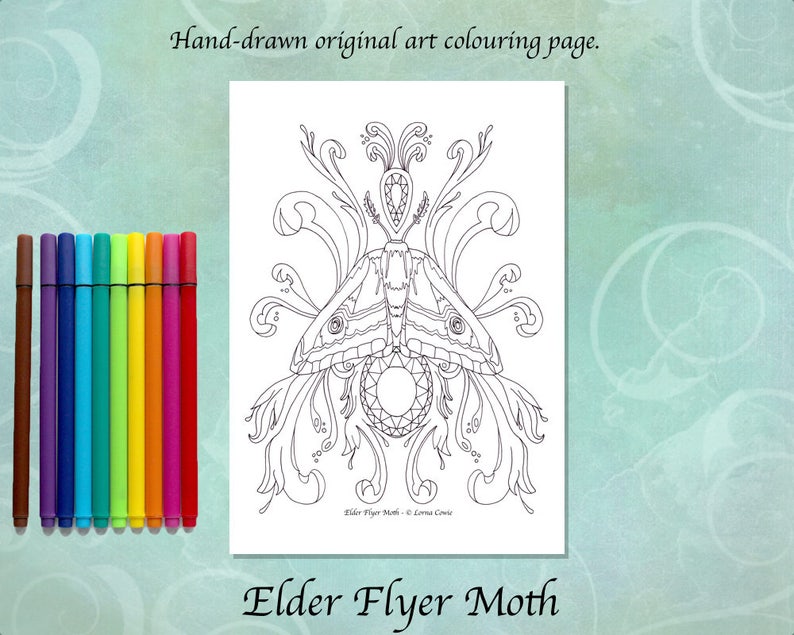 Elder Flyer Moth Printable Colouring Page image 1