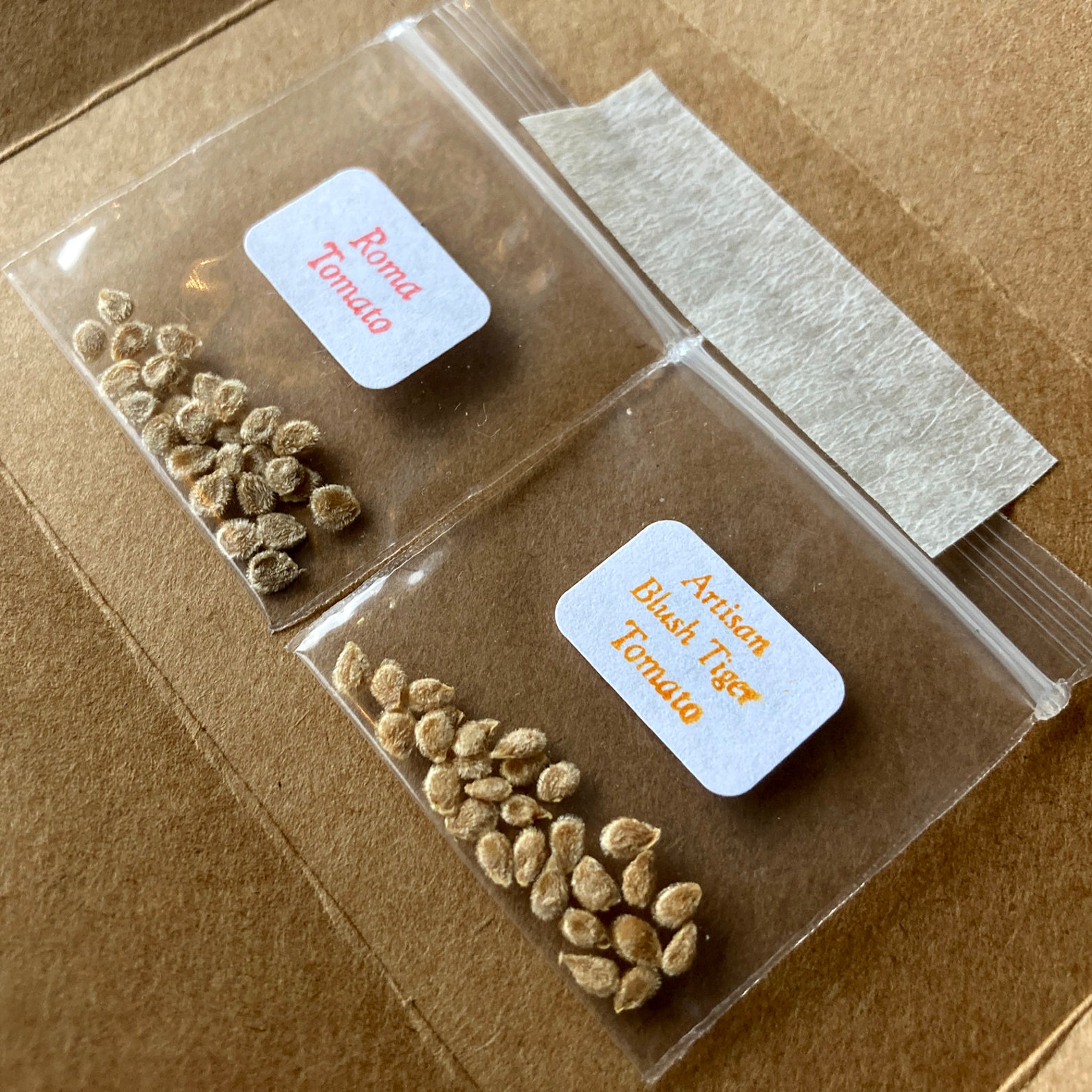 ORGANIC Seed Gift Pack Etsy