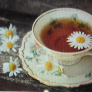 Digestive Tea Blend & Slippery Elm Capsules