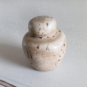 May include: A speckled, beige ceramic jar with a rounded body and a separate, smaller lid. The jar has a smooth, glossy finish and is adorned with small, dark brown spots. The design is simple and elegant, suitable for storage or decoration.