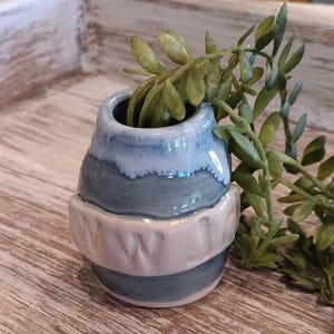 May include: A small, blue and white ceramic vase with a white band around the middle. The vase is filled with green leafy plants.
