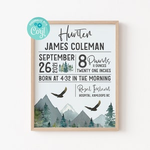 EDITABLE Baby Stats Template - Baby Stats Print, Baby Shower Gift, Birth Stats Print