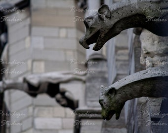 Gargoyles