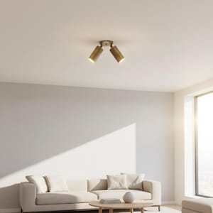 Op de afbeelding: Een plafondspot met twee koppen en een metalen messing afwerking. De twee cilindrische lichtkoppen zijn gemonteerd op een centrale ronde basis en staan naar buiten gericht voor gerichte verlichting in een kamer met een bank.