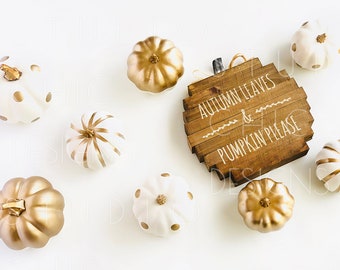 Fall Pumpkin Image | Fall Stock Photography |  Gold and White Pumpkin Stock Images