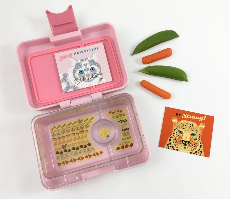 May include: Pink lunchbox with a clear top and a removable divider. The lunchbox has two motivational cards inside. One card features a cat with the text "Stay Pawsitive" and the other card features a leopard with the text "Be Strong!"